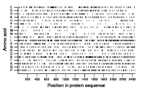 amino acid map