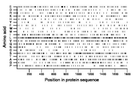 amino acid map