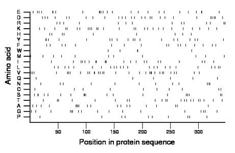 amino acid map