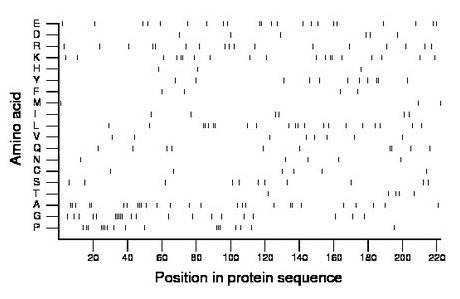 amino acid map