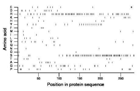 amino acid map