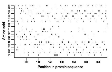 amino acid map