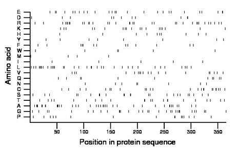 amino acid map