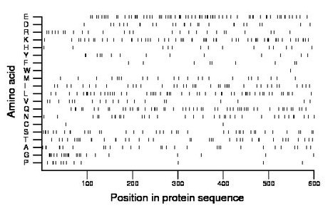 amino acid map