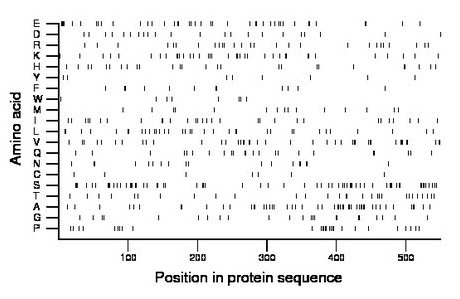 amino acid map