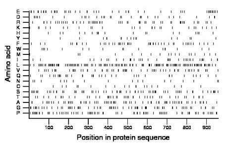 amino acid map