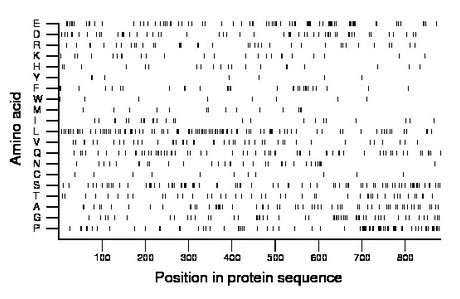 amino acid map