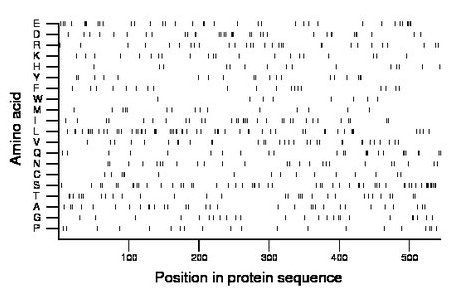 amino acid map