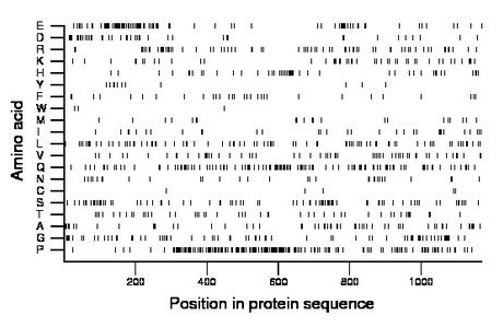 amino acid map