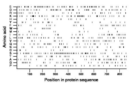 amino acid map