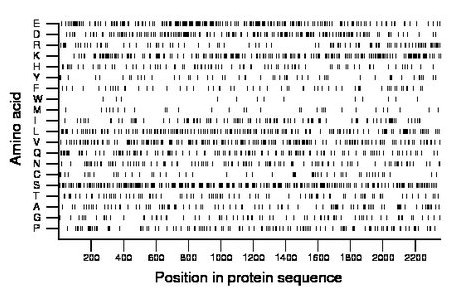 amino acid map