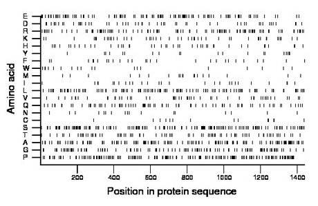 amino acid map