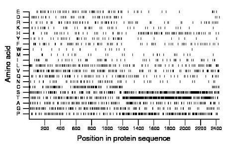 amino acid map