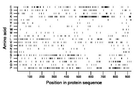 amino acid map