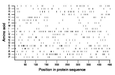 amino acid map