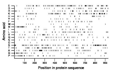 amino acid map