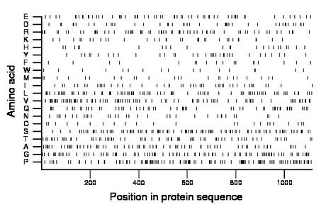 amino acid map