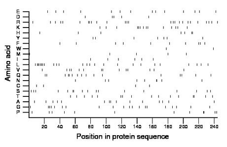 amino acid map