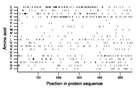 amino acid map