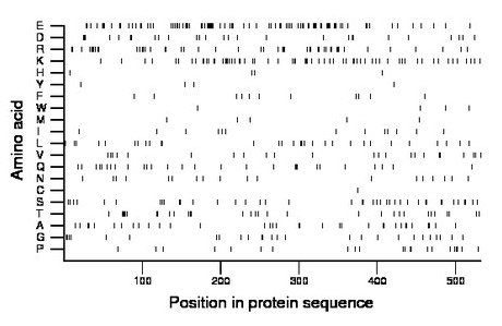 amino acid map