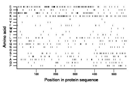 amino acid map