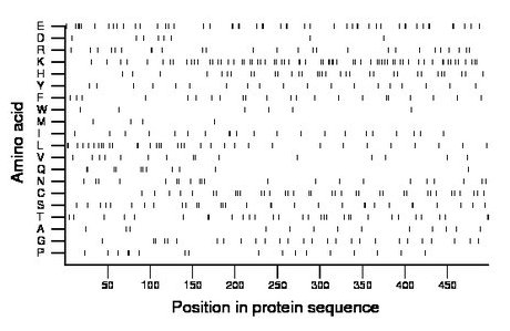 amino acid map