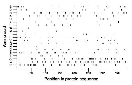 amino acid map