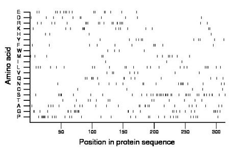 amino acid map