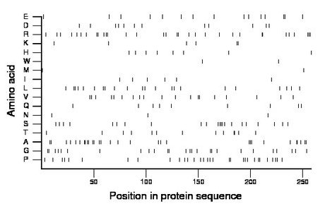 amino acid map