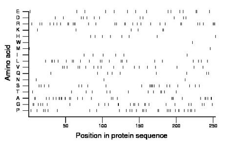 amino acid map