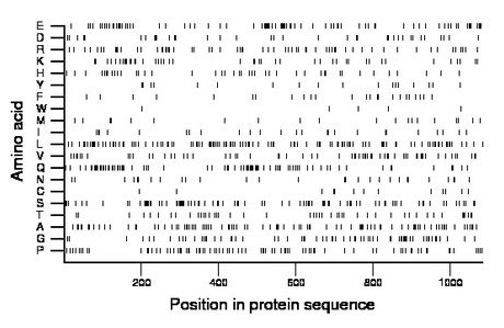 amino acid map