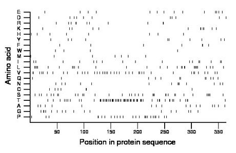 amino acid map