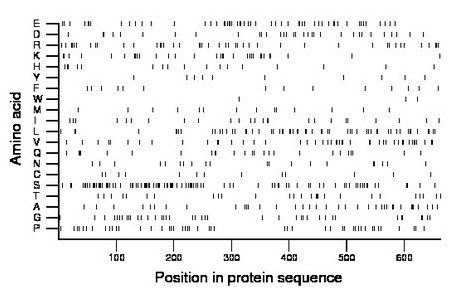 amino acid map