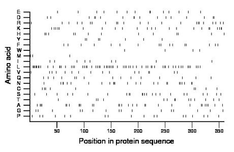 amino acid map