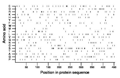 amino acid map