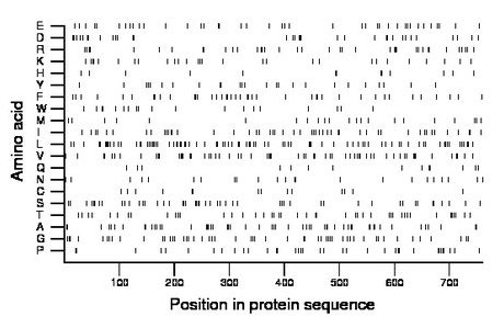 amino acid map