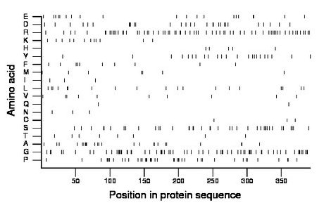 amino acid map