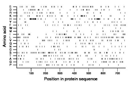 amino acid map