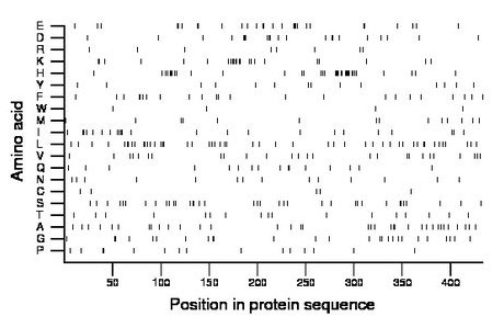 amino acid map