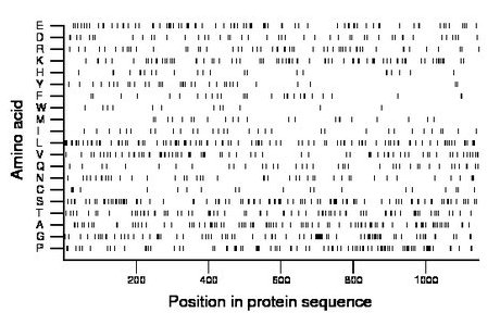 amino acid map