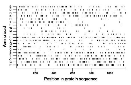 amino acid map