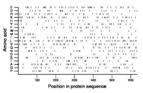 amino acid map