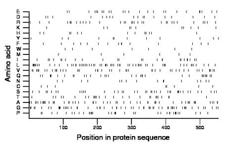 amino acid map