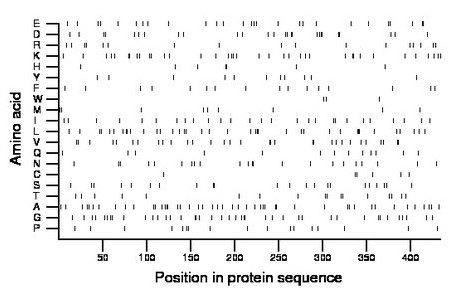 amino acid map