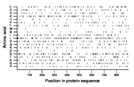 amino acid map