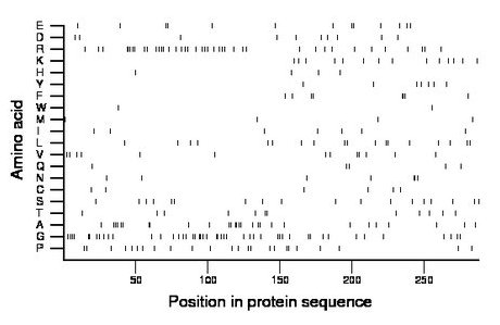 amino acid map