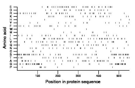 amino acid map