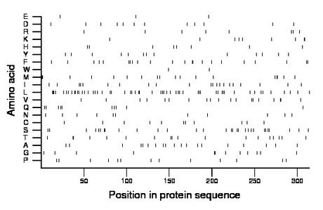 amino acid map