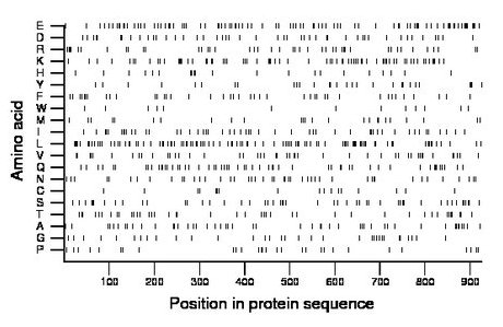 amino acid map