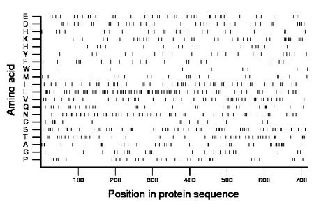 amino acid map